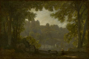 Boslandschap