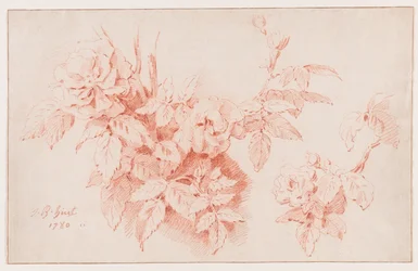 Rozen