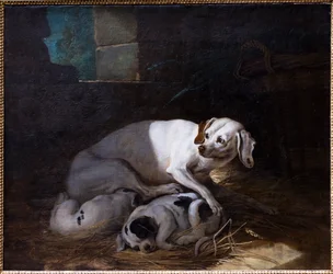 Hond die haar jong verzorgt