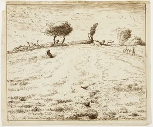Landschap - Heuvel in Gruchy, Normandië