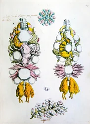 Ontwerpen voor een broche, een aigrette en voor de ridderorde van het Gulden Vlies (Toison d