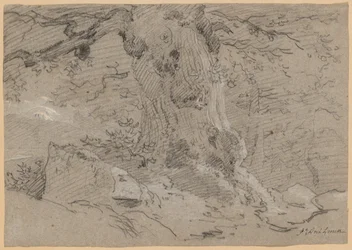 Studie van Oude Boomstam