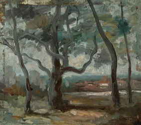 De grote boom (studie)