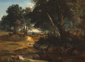 Bos van Fontainebleau