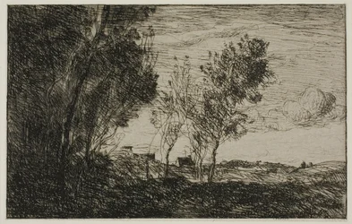 In de Duinen: Souvenir van de Bossen van Den Haag
