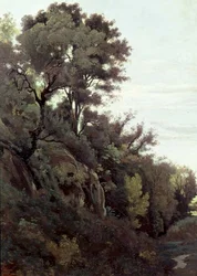 Marino - Bomen en rotsen