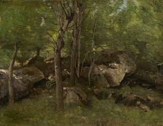 Rotsen in het bos van Fontainebleau