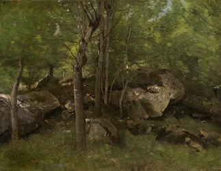 Rotsen in het bos van Fontainebleau