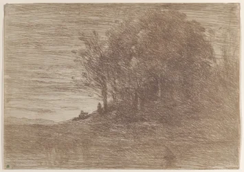 De bossen van de kluizenaar