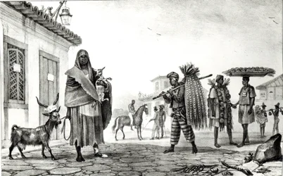 Huis te huur, paard en geit te koop, uit 