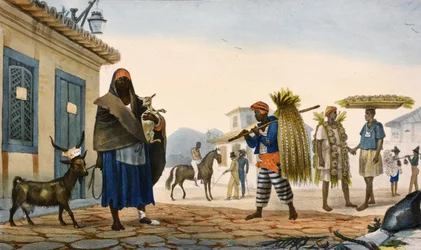 en gekleurde litho