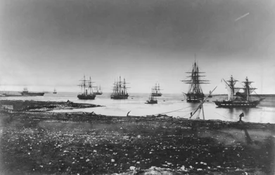 Krimoorlog, Frans eskader, binnenkomst in de haven, 1855