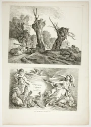 Plaat 25 van 38 uit Oeuvres de J. B. Huet