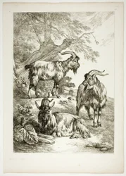 Plaat Zeventien van 38 uit Oeuvres de J. B. Huet