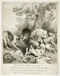 De wolf op de baai