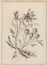 Bloementak