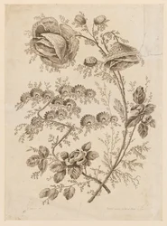 Bloementak, uit "Cahier de Fleurs Singuliers"