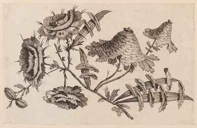 Bloementak, uit "Recueil de Fleurs Chinois"