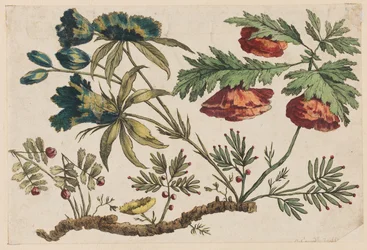 Bloementak, uit "Recueil de Fleurs Chinois"