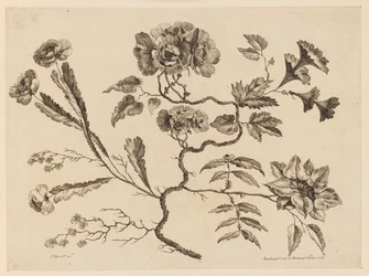 Bloemtakken, uit "Recueil de Differentes Fleurs de Fantaisie Dans le Goût Chinois"