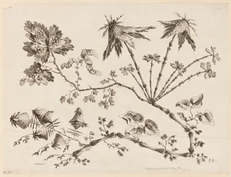 Bloementakken, uit "Recueil de Differentes Fleurs de Fantaisie Dans le Goût Chinois"