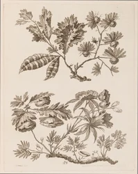 Bloementakken, uit "Verzameling van Verschillende Fantasiebloemen in Chinese Stijl"