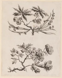 Bloemtakken uit, "Recueil de Fleurs Chinois"