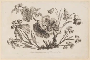 Bloementakken, uit 