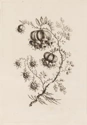 Bloementak, uit "Fleures Persannes"