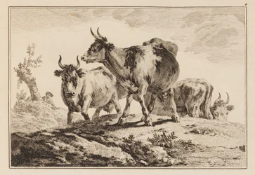 Blad 4, uit "Cahier de Six Feuilles de Boeufs et Vaches"