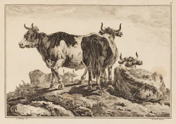 Plaat 6, uit "Cahier de Six Feuilles de Boeufs et Vaches"