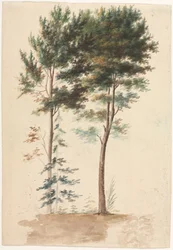 Bomen, 1700s