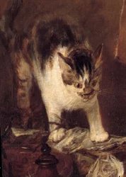 Het stilleven van vis, oesters, kruik. Kat (detail)