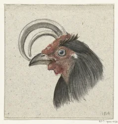 Kop van een haan