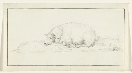 Liggend schaap, naar links