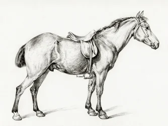 Staand paard door Jean Bernard (1775–1883)