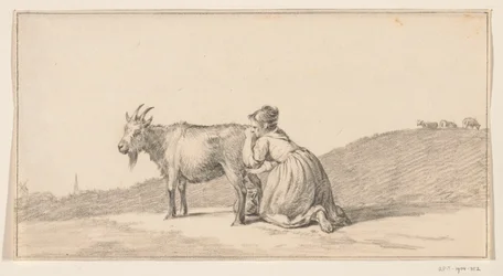 Vrouw die een geit melkt