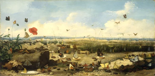 De race van de vlinders, 1872