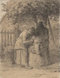 Schapenscheren onder een boom, ca. 1854