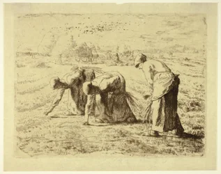 De Arenleesters