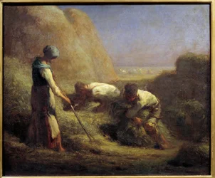 De hooibootjes. Boeren maken de laarzen met het hooi dat net is gemaaid.