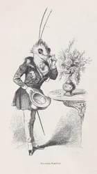 Een Oude Vlinder uit Scènes uit het Privé- en Openbare Leven van Dieren, ca. 1837-47