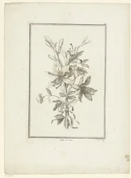 Boeket met lelie Belle de Jour IIe Cahier de Bouquets
