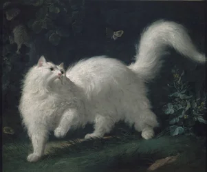 Angorakat die een vlinder achternazit, ca. 1760