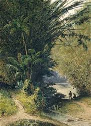 Een bamboebos in Trinidad