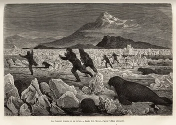 Een deel van de bemanning van het schip La Germania, op de Clavering-eilanden, afgedaald op het ijs om te jagen, werden zelf opgejaagd door walrussen die uit het water kwamen, gegraveerd naar de tekening van J.Moynet, ter illustratie van een reis naar de N