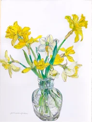 Narcissen in een vaas met smalle hals, 2006 (aquarel en inkt op papier)