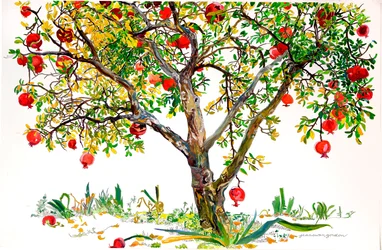Granaatappelboom, Monte Sereno (aquarel en inkt op papier)