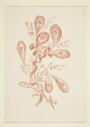 Zonder Titel (Ideale Bloemen), uit een set van zes