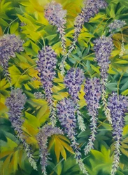 Wisteria bloemen  bladeren 1, 2023 (pastel op papier)